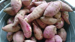 10-5-%e7%84%bc%e8%8a%8b